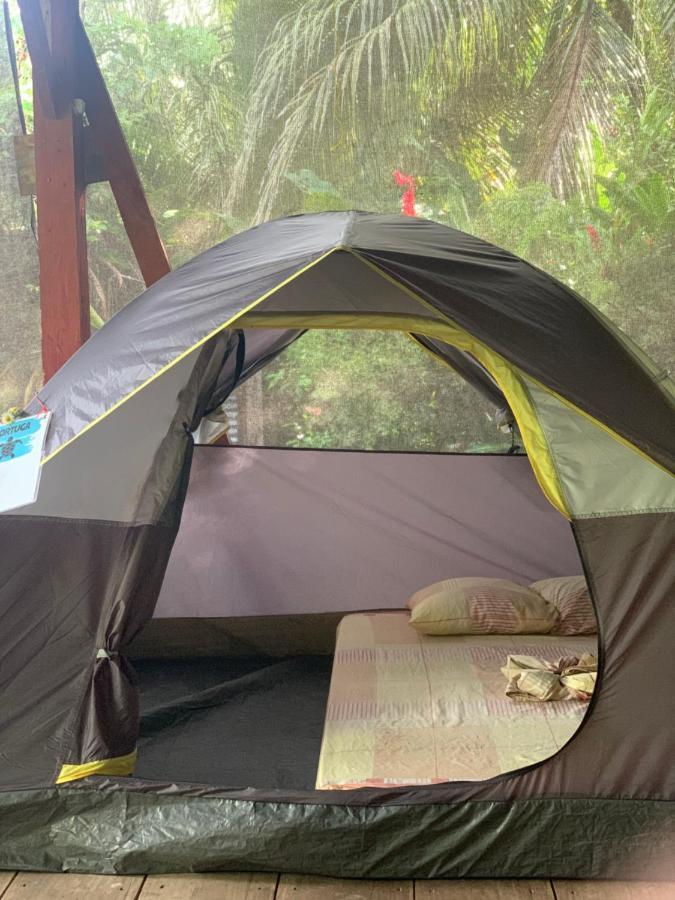 Surf Camp Hotel Бокас дел Торо Екстериор снимка