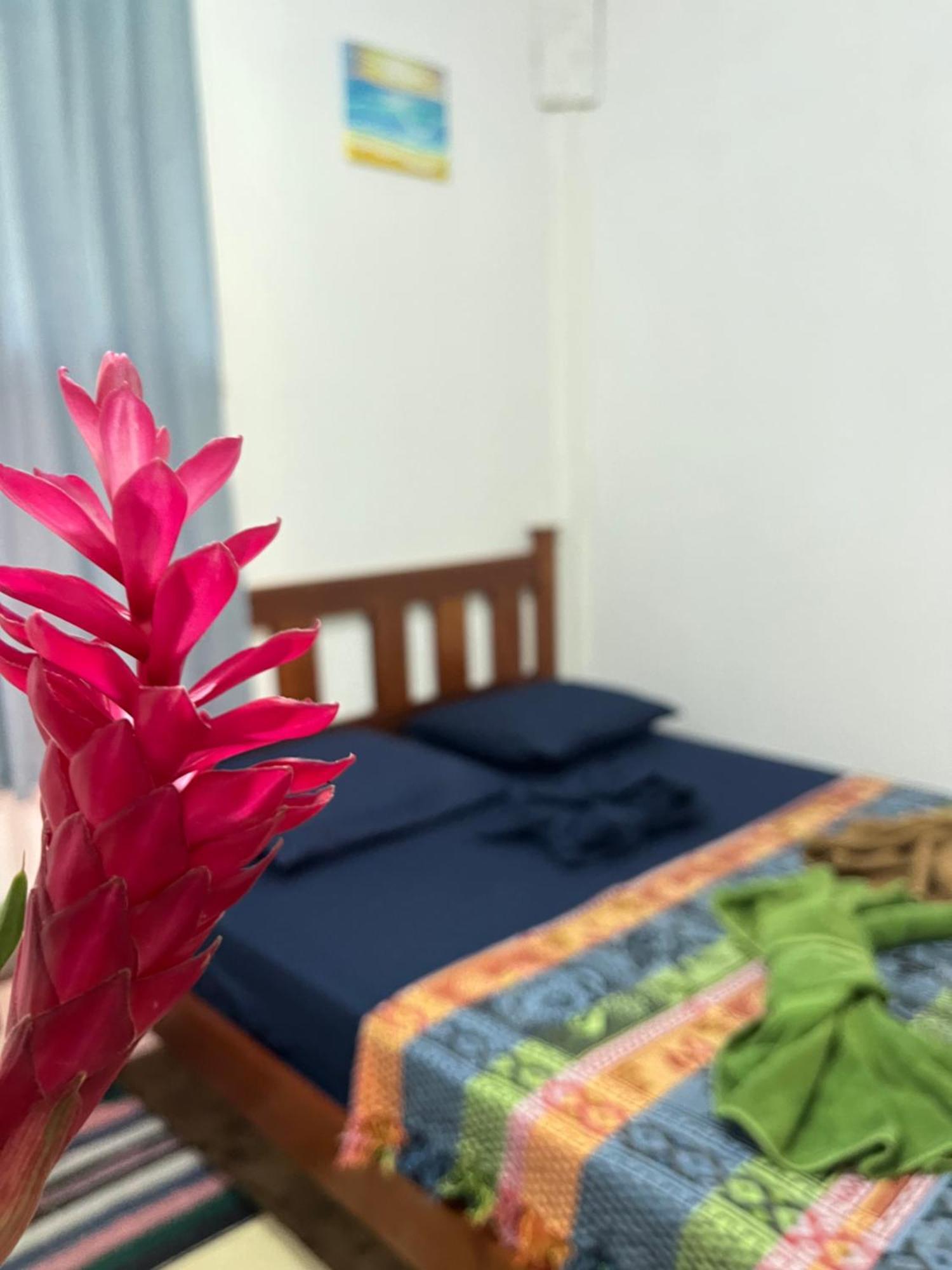 Surf Camp Hotel Бокас дел Торо Екстериор снимка
