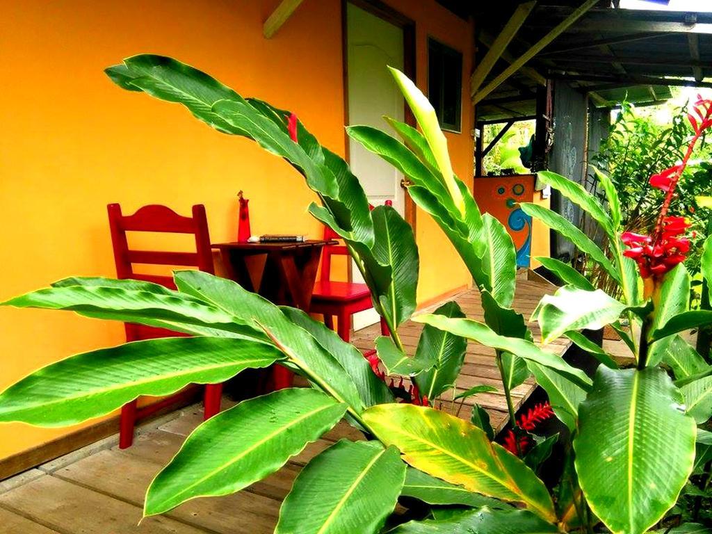 Surf Camp Hotel Бокас дел Торо Екстериор снимка